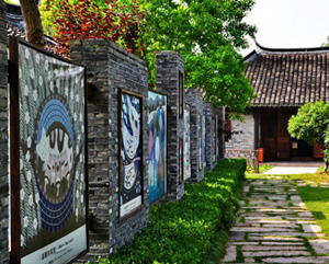 大方鼎新大井土蜂蜜廣告策劃